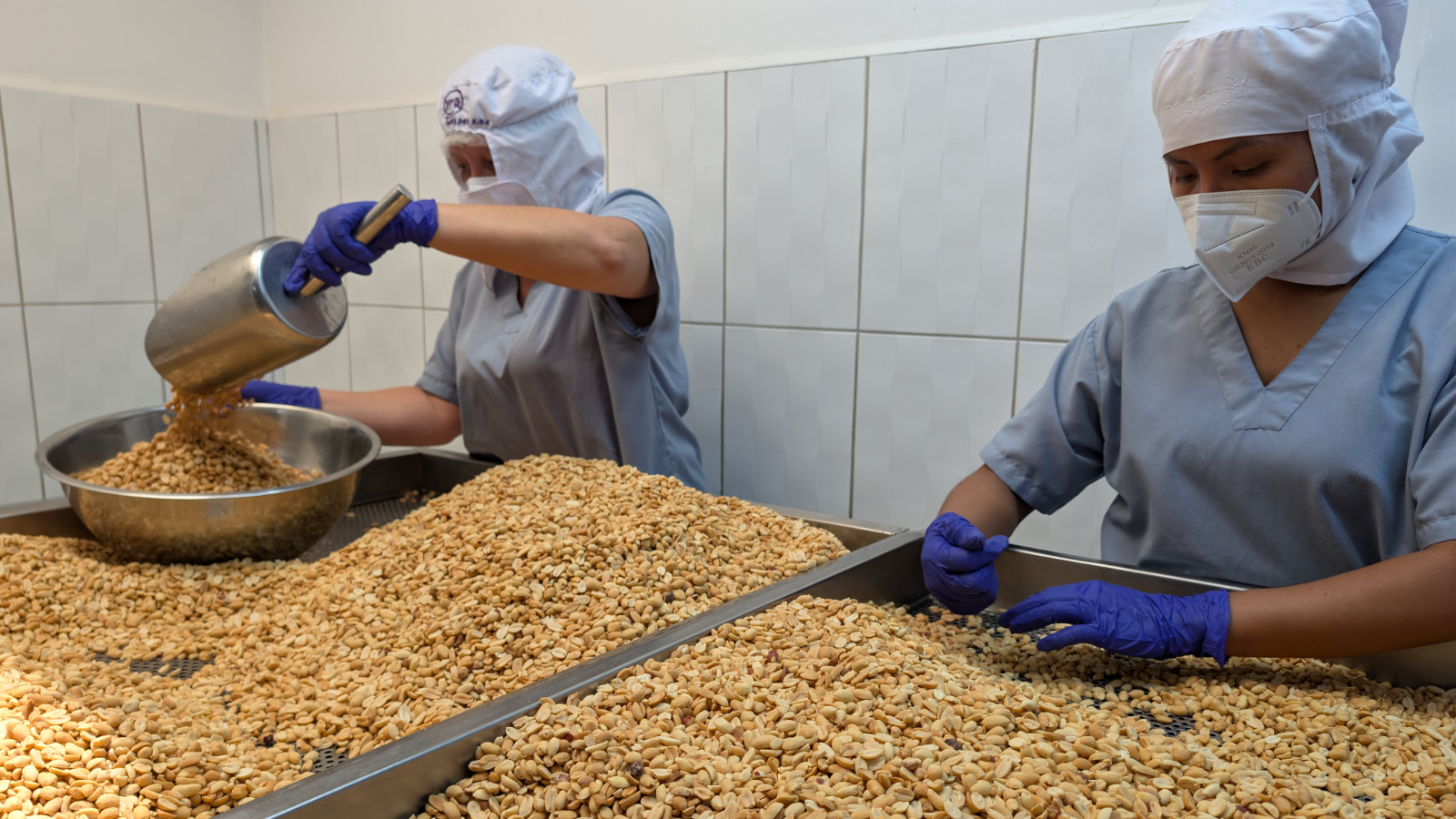 Nuestra planta de procesamiento